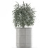 Plante en pot Simple 05 - rodolfoboscan911