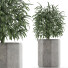 Plante en pot Simple 05 - rodolfoboscan911