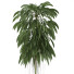 Plante en pot Simple 03 - rodolfoboscan911