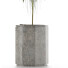 Plante en pot Simple 03 - rodolfoboscan911