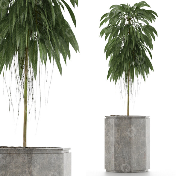 Plante en pot Simple 03 modèle 3D