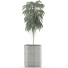 Plante en pot Simple 03 - rodolfoboscan911