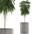 Plante en pot Simple 03 - rodolfoboscan911
