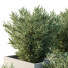 Arbres et buissons HQ Boîte de Jardin Extérieur Volume 52 - Pandora-land