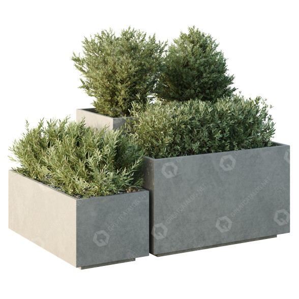 Arbres et buissons HQ Boîte de Jardin Extérieur Volume 52 modèle 3D