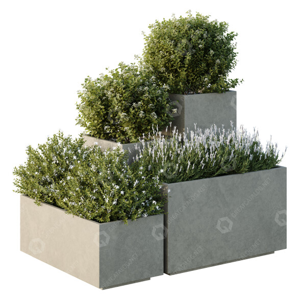 Arbres et buissons HQ Boîte de Jardin Extérieur Volume 51 modèle 3D