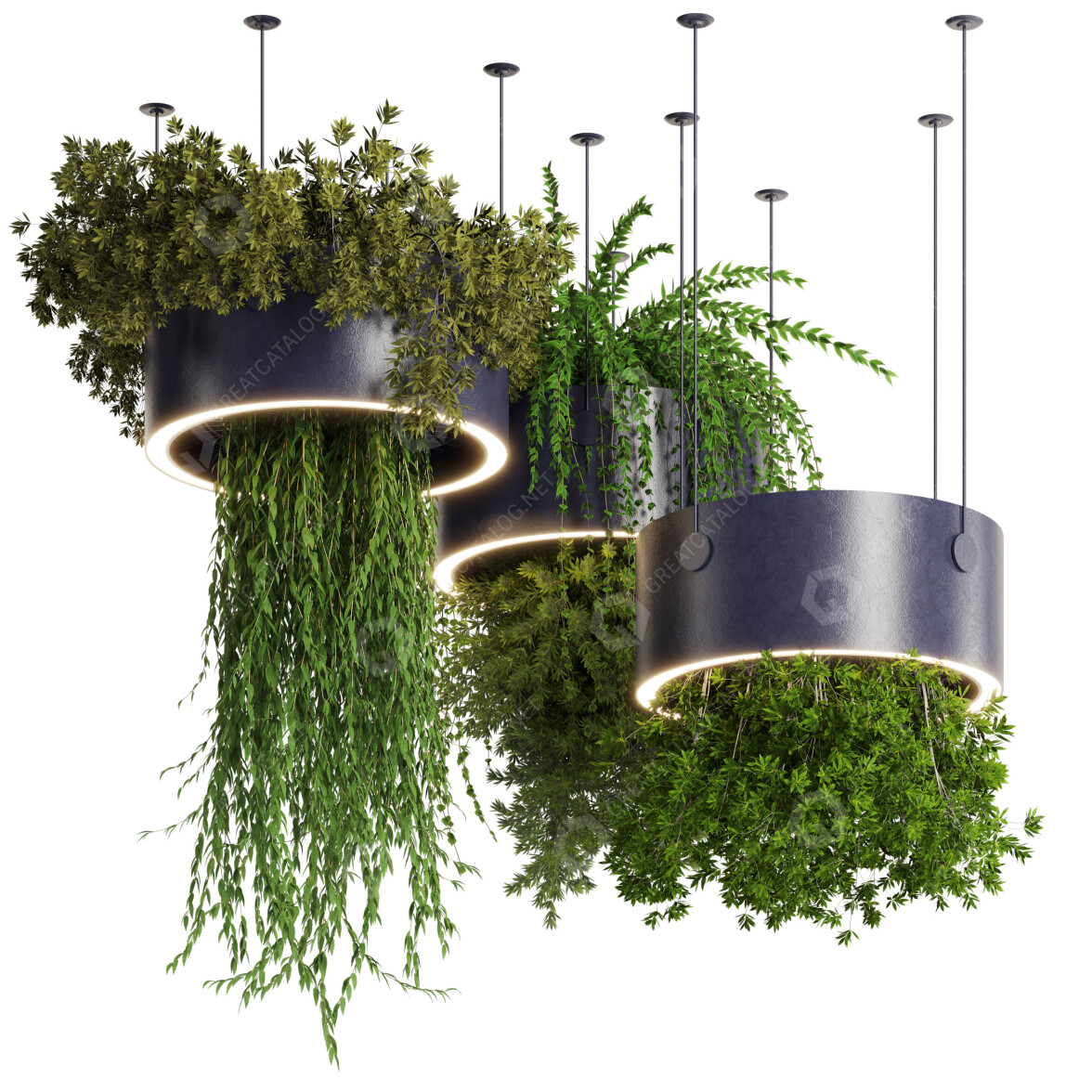3D model Potted Plants Indoor 77 Hanging