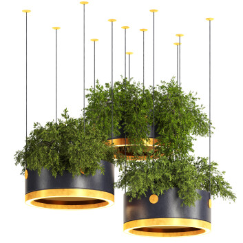 Rośliny doniczkowe  Indoor 78 Hanging Model 3D