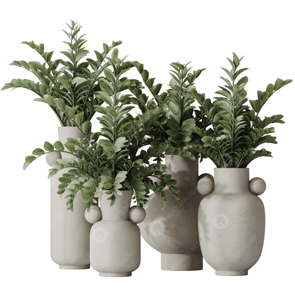 Rośliny doniczkowe HQ House ZZ Zamioculcas Zamiifolia Araceae model 3D