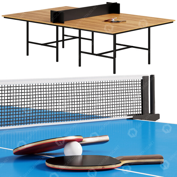 Тенісний стіл Bulo Ping Pong Dan 3D модель
