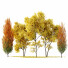 Drzewa Maple Sapindaceae and Acer Saccharinum Fall - Pandora-land