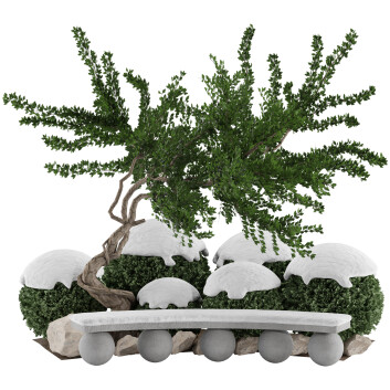 Árbol y arbustos Conjunto de jardín topiario 4