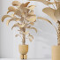 Rośliny doniczkowe HQ House Licuala Grandis Ruffled Fan Palm Set 02 - Pandora-land