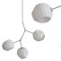 Hängeleuchte The Future Perfect Branching Bubble BB.03.31 - Moxito