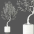 Plante en pot Plantes d'intérieur 324 - uniquevry