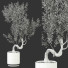 Plante en pot Plantes d'intérieur 325 - uniquevry