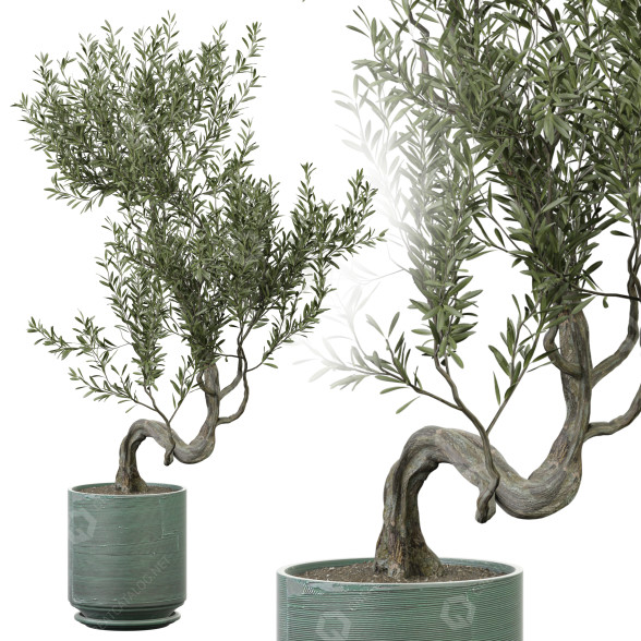 Plante en pot Plantes d'intérieur 325 modèle 3D
