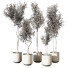 Plantes en pot Plantes d'intérieur 327 - uniquevry