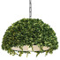 Lámpara colgante Spingar Modern Planter Led - Diorart