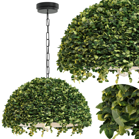 Lámpara colgante Spingar Modern Planter Led Modelo 3D