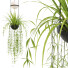 Pendant Lamps Vibia Palma - Diorart