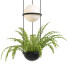 Pendant Lamps Vibia Palma - Diorart