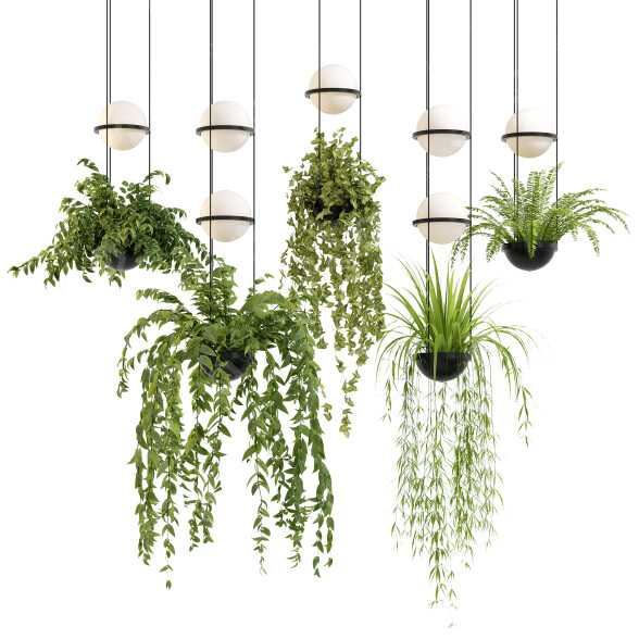 Pendant Lamps Vibia Palma 3D model