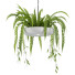 Lámpara colgante Light Makers Indrid Decorative Plants White - Diorart