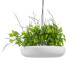 Lámpara colgante Light Makers Indrid Decorative Plants White - Diorart