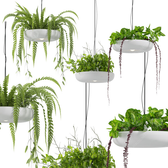 Lámpara colgante Light Makers Indrid Decorative Plants White Modelo 3D