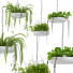 Lámpara colgante Light Makers Indrid Decorative Plants White - Diorart