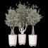 Potted Plants Indoor Vol 18 - uniquevry