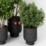 Potted Plants Indoor Vol 22 - uniquevry