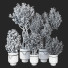 Potted Plants Indoor Vol 22 - uniquevry