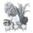 Potted Plants Indoor Vol 23 - uniquevry