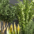 Potted Plants Indoor Vol 23 - uniquevry