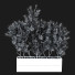 Potted Plant Indoor Vol 24 - uniquevry