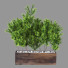 Potted Plant Indoor Vol 24 - uniquevry