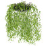 Lámparas colgantes Light Makers Indrid Decorative Plants Black - Diorart