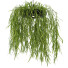 Lámparas colgantes Light Makers Indrid Decorative Plants Black - Diorart