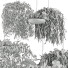Lámparas colgantes Light Makers Indrid Decorative Plants Black - Diorart