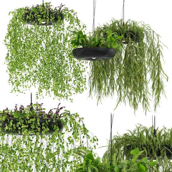 Lámparas colgantes Light Makers Indrid Decorative Plants Black Modelo 3D