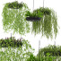 Lámparas colgantes Light Makers Indrid Decorative Plants Black - Diorart