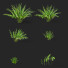 Bushes Polygonatum - valeriy korol ld