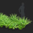 Bushes Polygonatum - valeriy korol ld