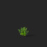 Bushes Polygonatum - valeriy korol ld