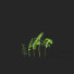 Bushes Polygonatum - valeriy korol ld