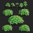 Büsche Pachysandra terminalis - valeriy korol ld