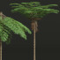 Drzewa New High Detail Sphaeropteris Lepifera Medium - Pandora-land