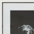 Kino Set Frame 1 - ramonfcgi-46849